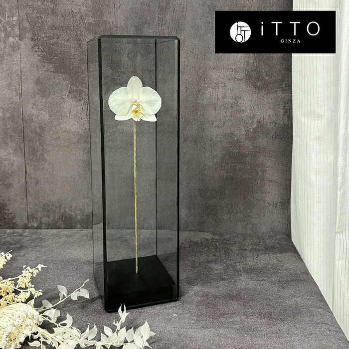 胡蝶蘭 ドライフラワー オリジナルギフト　誕生日 記念日 開店祝い お供え 仏花 ガラス The iTTO L｜iTTO GINZA