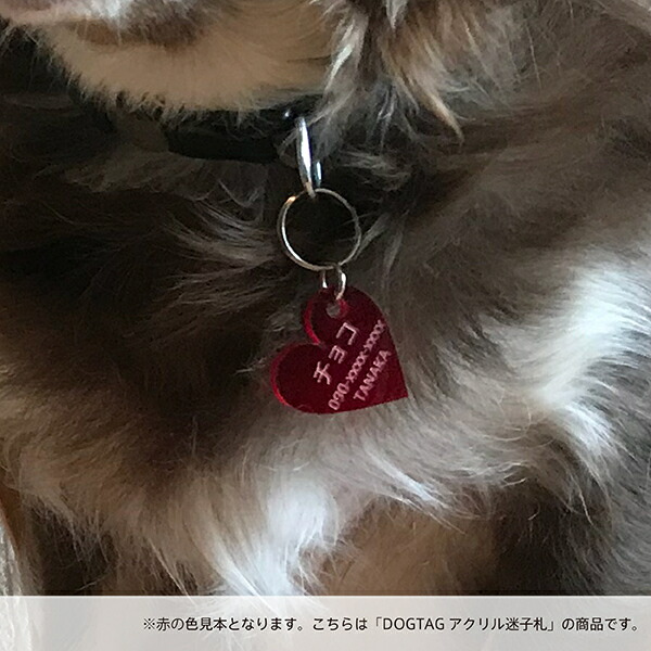 超軽量 デザインが選べる猫用迷子札 名札 野良猫 国産アクリル使用で安全 犬 散歩 犬用 お出かけ ペットグッズ 迷子札 各サイズあり