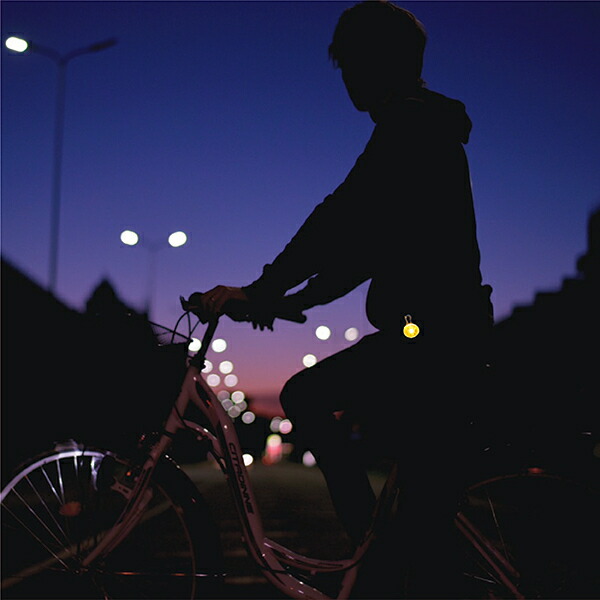 全色入荷 光って安全 犬散歩 ランニング 首輪 夜 安全 Led キーホルダー 中型犬 大型犬 ライト 光る 自転車 ハーネス 小型犬 猫 夜道 お散歩