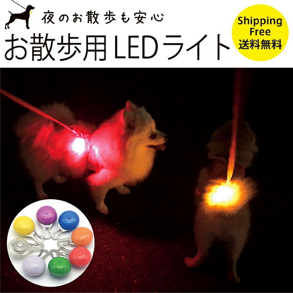 セーフティ ライト ホワイト ペット LED 散歩 犬 首輪 安全 リード