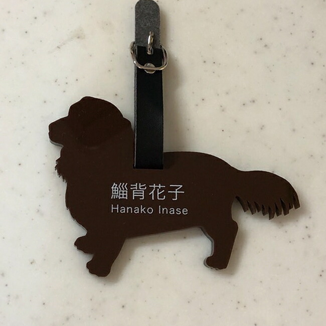 ベルト付き 頑丈 厚さ５mm ネームプレート 大型犬 名入れ Golf 名札 Dog ネームタグ 高級アクリル使用 42種類から選べる ゴルフ用 ゴルフタグ