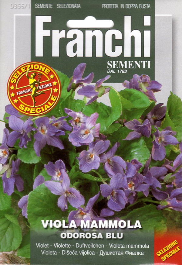 楽天市場 輸入種子 Franchi Sementiviola Mammola Osorosa Bluニオイスミレフランチ社 Ivy
