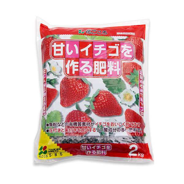 楽天市場】【野菜苗】天使のいちご AE(エンジェルエイト) 9cm