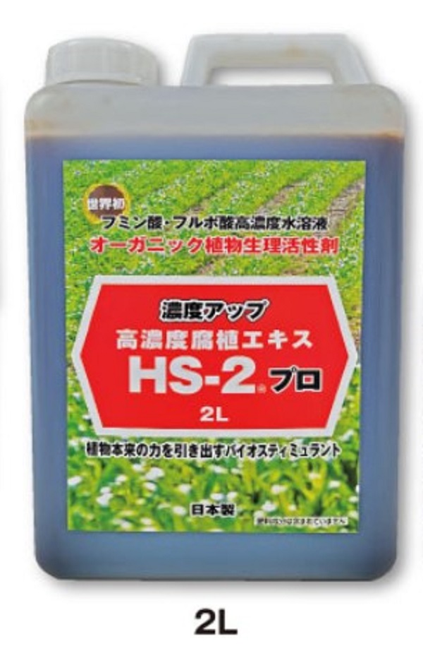 【取り入れる下り物放射能剤】HS-2労働者階級 2L 【お取り寄せ】