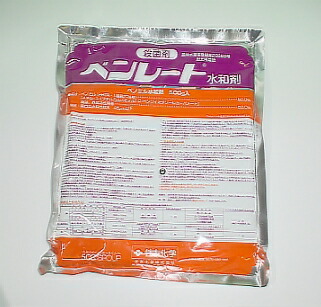 殺菌剤 ベンレート水和剤 爆買いセール 500g 2022モデル