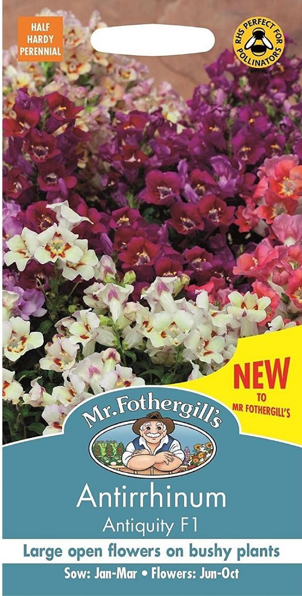 楽天市場】【輸入種子】Mr.Fothergill's SeedsDahlia Mignon Mixedダリア・ミニヨン・ミックスミスター・ フォザーギルズシード : Ivy