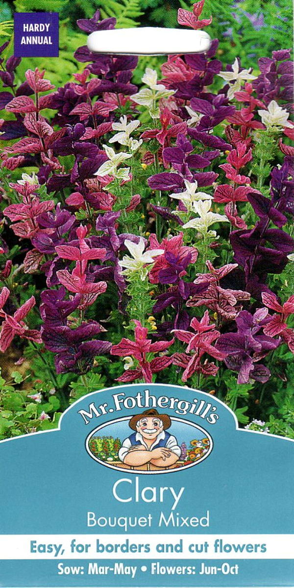 楽天市場】【輸入種子】Mr.Fothergill's Seeds WILDFLOWER Ragged Robin=Lychnis flos-cuculi  ワイルドフラワー ラッグド・ロビン（リクニス・フロス・ククリ）ミスター・フォザーギルズシード : Ivy