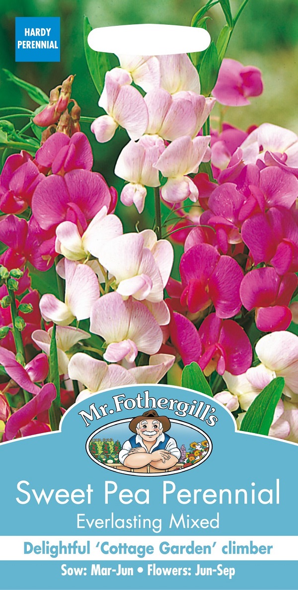 楽天市場】【輸入種子】Mr.Fothergill's Seeds Sweet Pea Old Times スイート・ピー オールド・タイムス ミスター・ フォザーギルズシード : Ivy