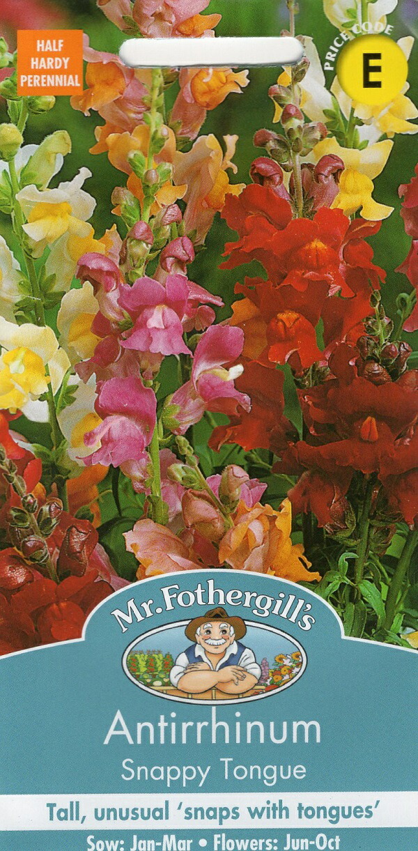 Mr.Fothergill's Seeds Antirrhinum Tongue アンチヒナム Snappy 金魚草 Mr.Fothergill's Seeds Antirrhinum Tongue