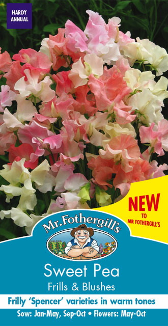 楽天市場】【輸入種子】Mr.Fothergill's Seeds Sweet Pea Erewhon スイート・ピー エリューホン ミスター・ フォザーギルズシード : Ivy