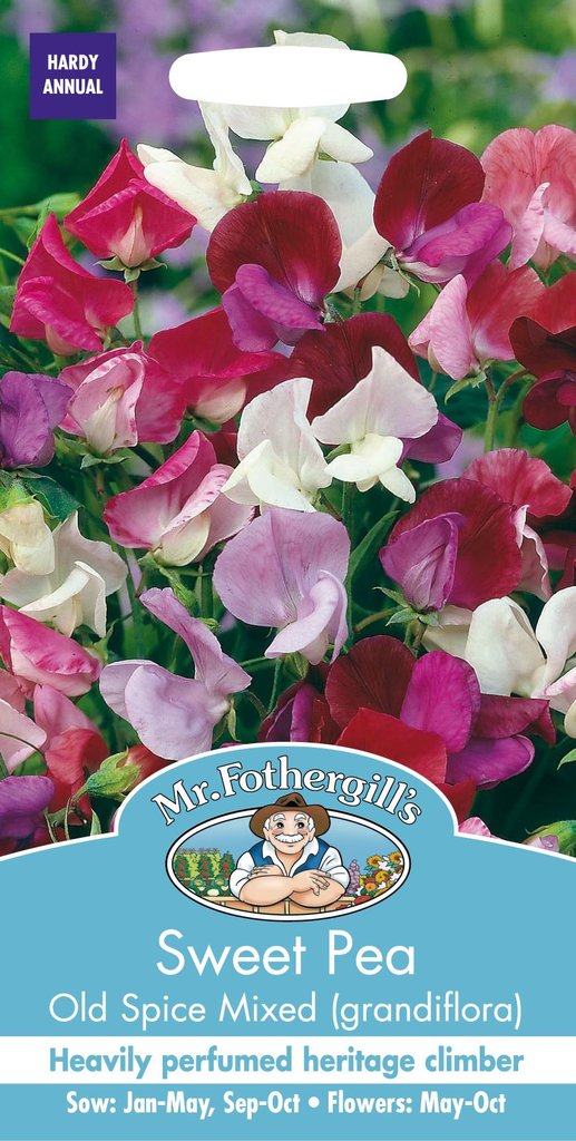 楽天市場】【輸入種子】Mr.Fothergill's Seeds Sweet Pea Balcony Mixed スイートピー・バルコニーミックス  ミスター・フォザーギルズシード : Ivy