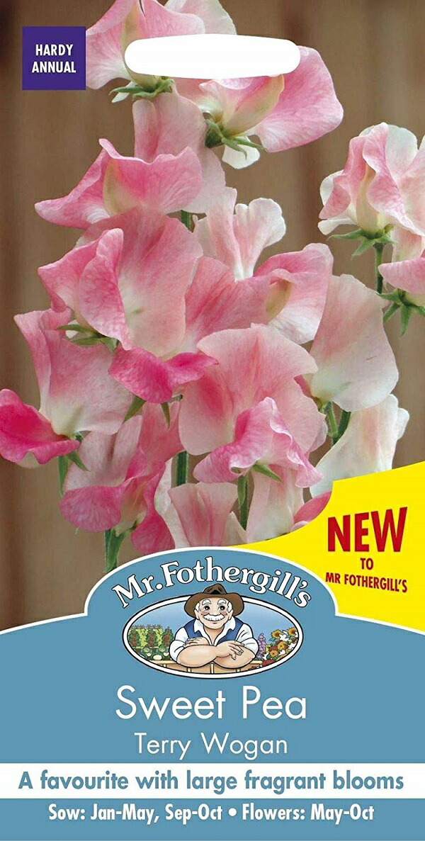 楽天市場】【輸入種子】Mr.Fothergill's Seeds Sweet Pea Pandemonium スイート・ピー パンデモニウム ミスター・ フォザーギルズシード : Ivy