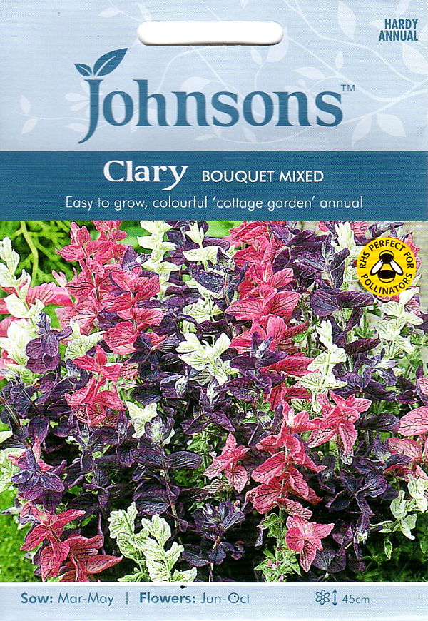 楽天市場 輸入種子 Johnsons Seeds Clary Bouquet Mixed クラリー ブーケ ミックス ジョンソンズシード Ivy