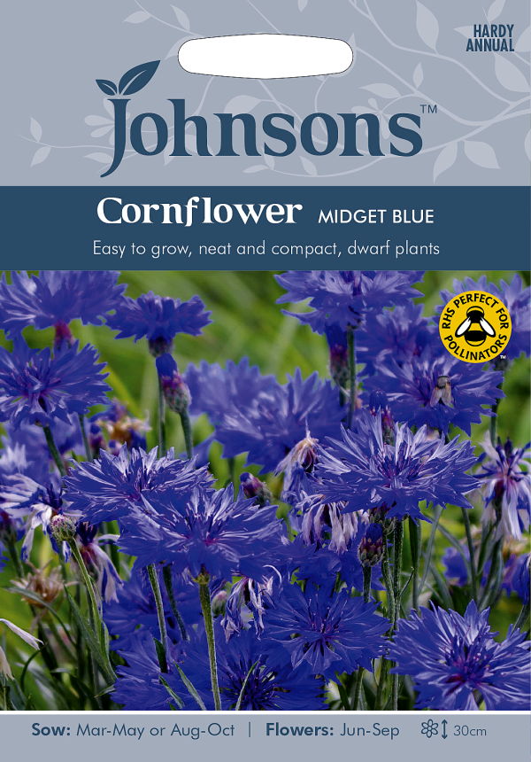 楽天市場 輸入種子 Johnsons Seeds Cornflower Midget Blueコーンフラワー 矢車菊 ミジェット ブルー ジョンソンズシード Ivy