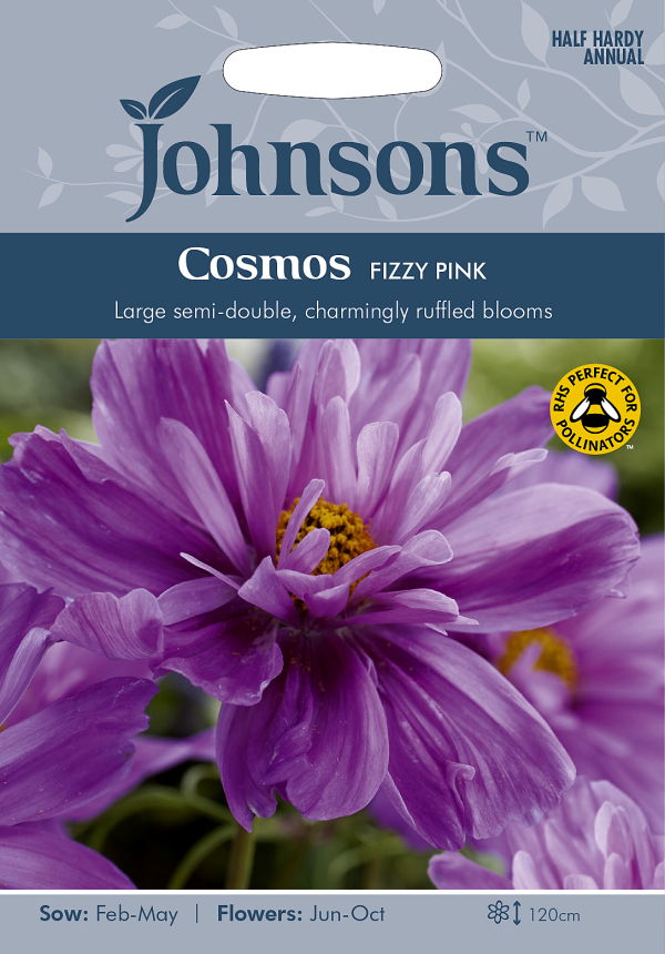 楽天市場 輸入種子 Johnsons Seeds Cosmos Fizzy Pink コスモス フィジー ピンク ジョンソンズシード Ivy