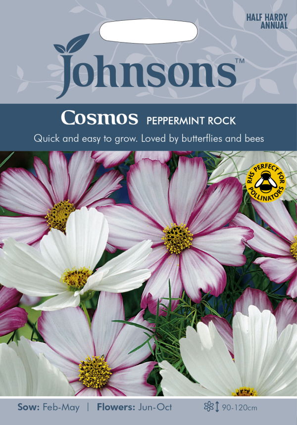 楽天市場 輸入種子 Johnsons Seedscosmos Peppermint Rockコスモス ペパーミント ロックジョンソンズシード Ivy