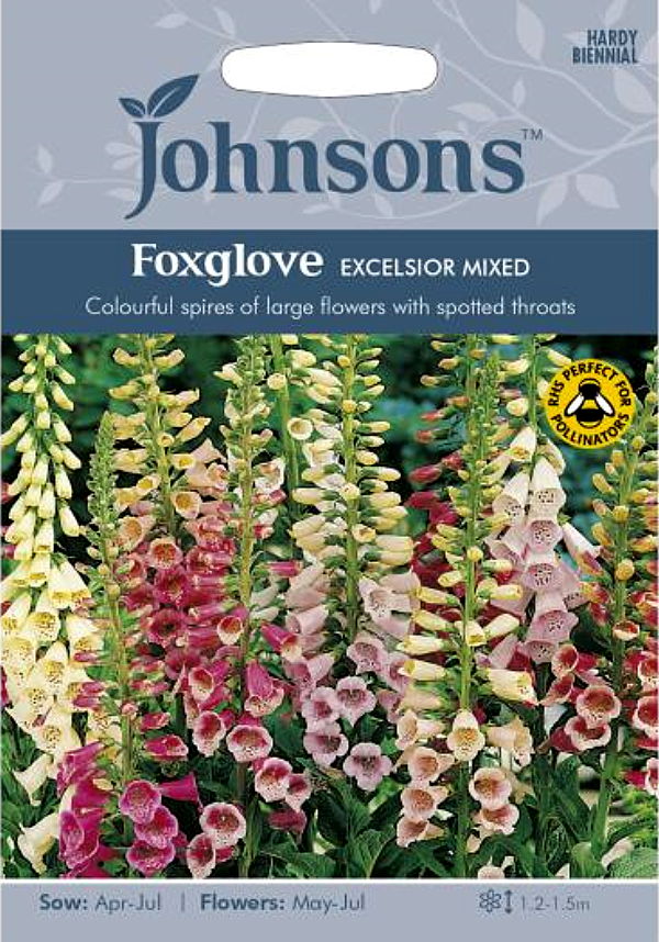 完全送料無料 ジキタリス混合10粒と2種類の植物の種のおまけ付き Staging Fiorillicaffe Com