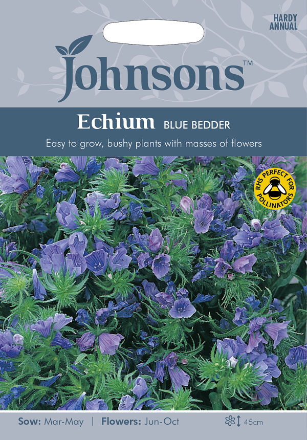 市場 種子 Johnsons Bedder エキウム Seeds Echium Blue