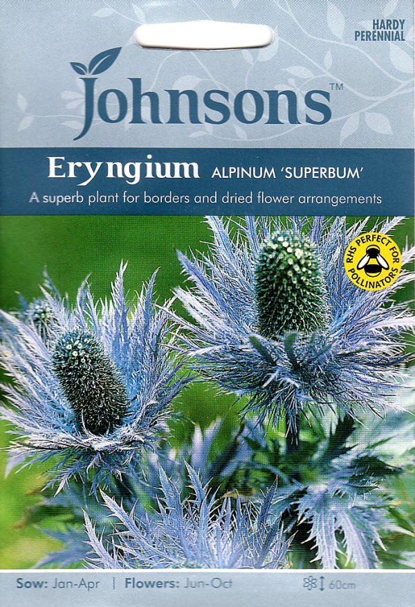 楽天市場 輸入種子 Johnsons Seeds Eryngium Alpinum Superbum エリンジューム アルピナム スペルバム ジョンソンズシード Ivy