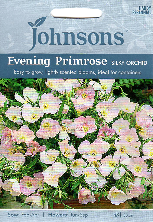 楽天市場 輸入種子 Johnsons Seeds Evening Primrose Oenothera Silky Orchid イブニング プリムローズ エノセラ シルキー オーキッド ジョンソンズシード Ivy