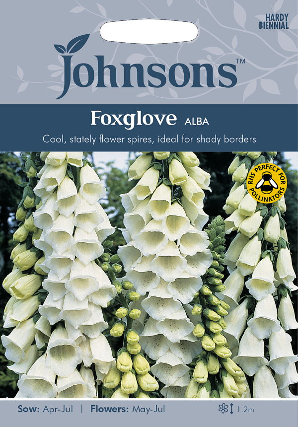 楽天市場 輸入種子 Johnsons Seeds Foxglove Alba フォックスグローブ ジギタリス アルバ ジョンソンズシード Ivy