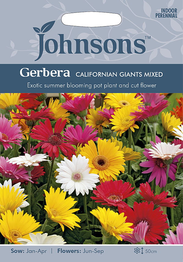 楽天市場 輸入種子 Johnsons Seeds Gerbera Californian Giants Mixed ガーベラ カリフォルニアン ジャイアンツ ミックス ジョンソンズシード Ivy