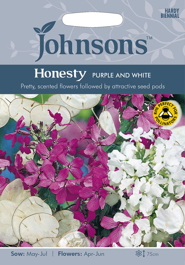 楽天市場 輸入種子 Johnsons Seeds Honesty Purple And White Mixed オネスティ ルナリア パープル アンド ホワイト ミックス ジョンソンズシード Ivy