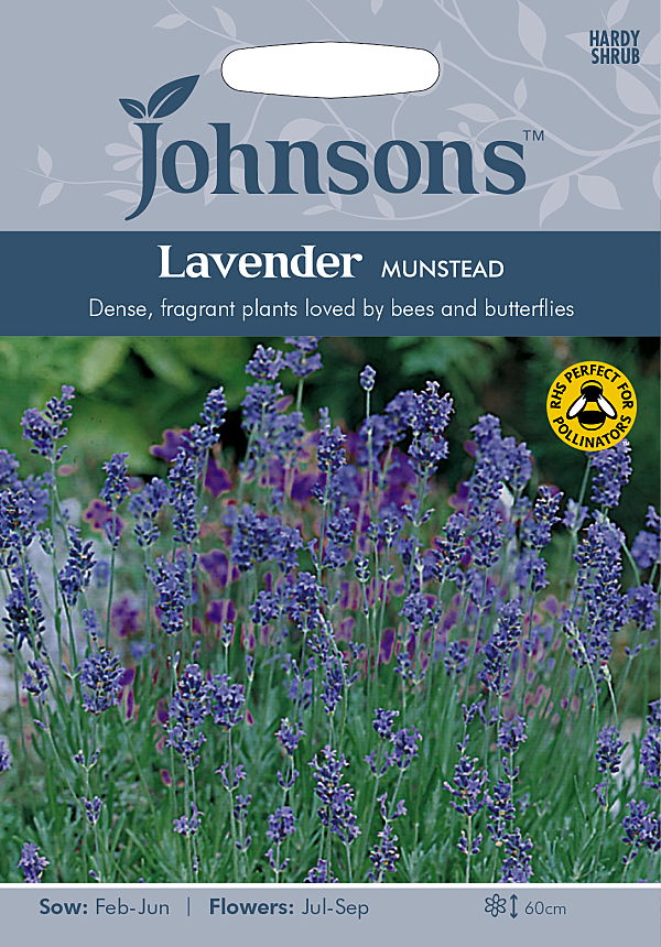 楽天市場 輸入種子 Johnsons Seedslavender Munstead Strainラベンダー ムンステッド ストレインジョンソンズシード Ivy