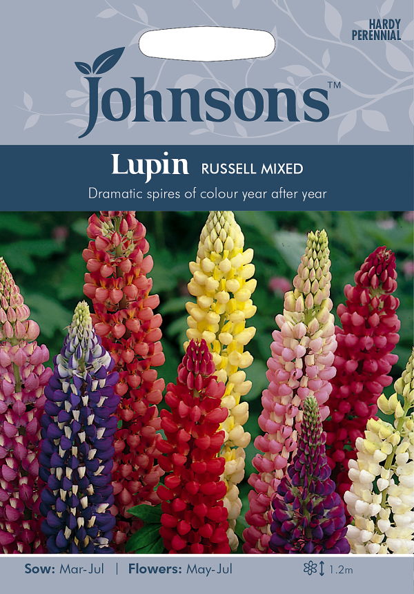 楽天市場 輸入種子 Johnsons Seeds Lupin Russell Mixed ルーピン ルピナス ラッセル ミックス ジョンソンズシード Ivy