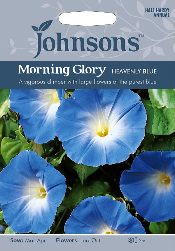楽天市場 輸入種子 Johnsons Seedsmorning Glory Heavenly Blueモーニング グローリー 西洋朝顔 ヘブンリー ブルー ジョンソンズシード Ivy
