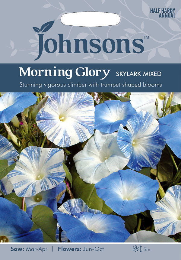 楽天市場 輸入種子 Johnsons Seeds Morning Glory Skylark Mixed モーニング グローリー 西洋朝顔 スカイラーク ミックス ジョンソンズシード Ivy