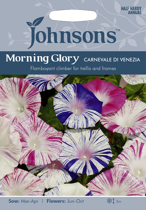 楽天市場 輸入種子 Johnsons Seeds Morning Glory Carnevale Di Venezia モーニング グローリー 西洋 朝顔 カーニバル デ ヴェネツィア ジョンソンズシード Ivy