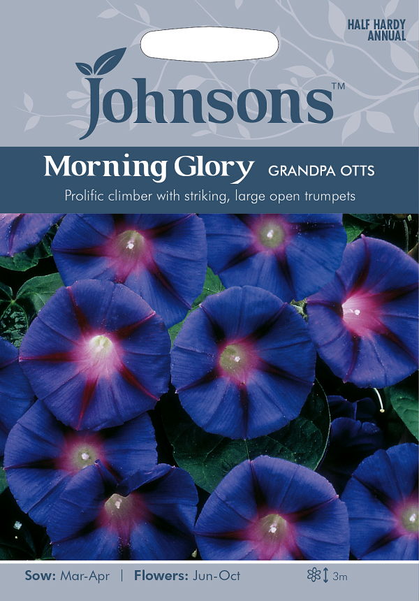 楽天市場 輸入種子 Johnsons Seedsmorning Glory Grandpa Ottsモーニング グローリー 西洋朝顔 グランパ オッツ ジョンソンズシード Ivy