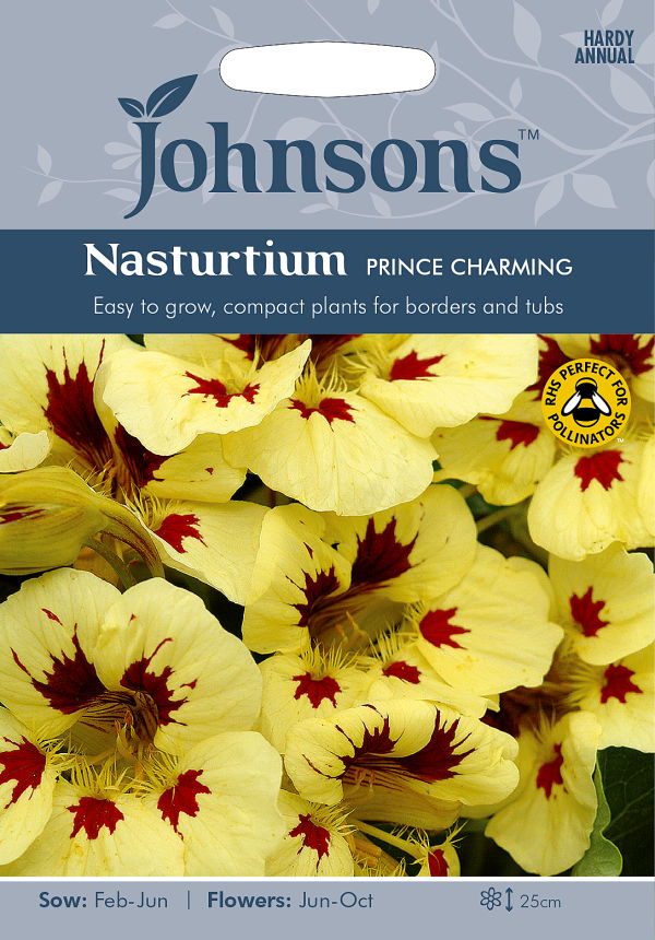 楽天市場 輸入種子 Johnsons Seedsnasturtium Prince Charmingナスターチウム プリンス チャーミング ジョンソンズシード Ivy