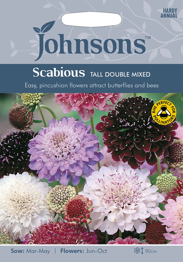 楽天市場 輸入種子 Johnsons Seedsscabious Tall Double Mixedスカビオサ トール ダブル ミックスジョンソンズシード Ivy