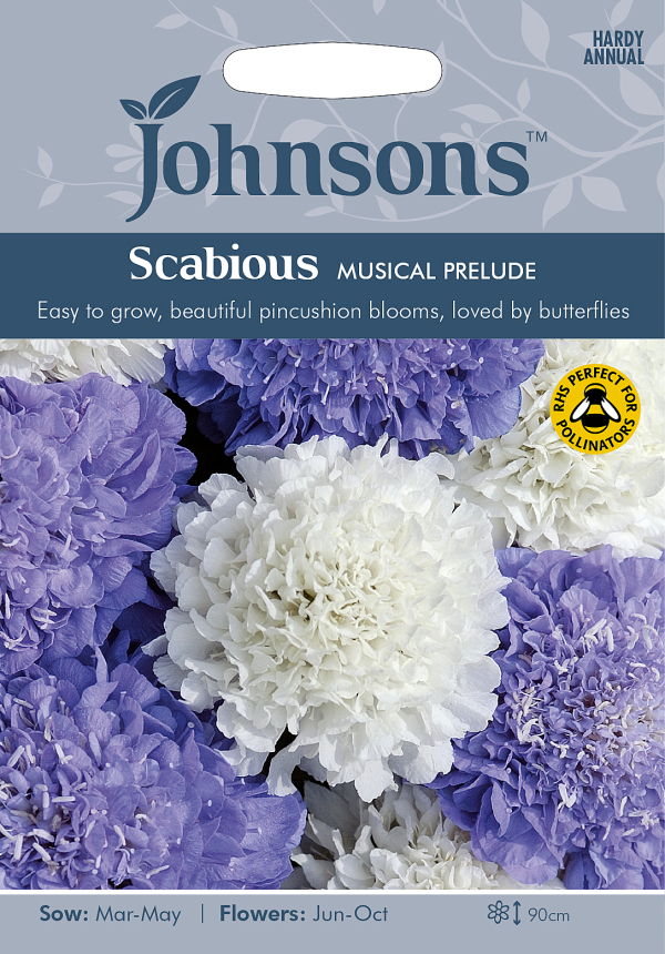 楽天市場 輸入種子 Johnsons Seedsscabious Musical Preludeスカビオサ ミュージカル プレリュードジョンソンズシード Ivy