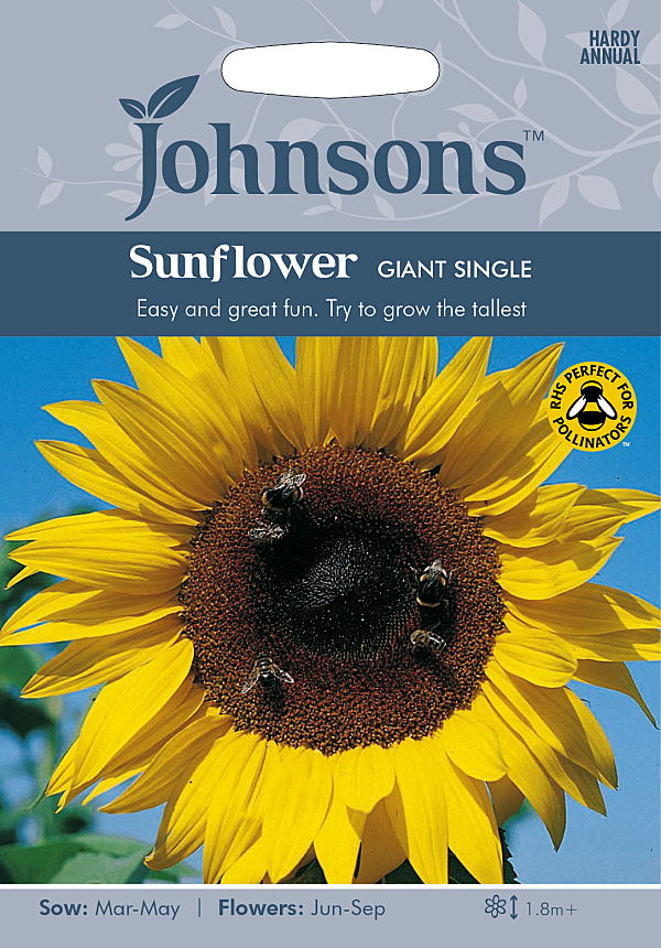 楽天市場 輸入種子 Johnsons Seedssunflower Solar Power F1サンフラワー ソーラー パワー F1ジョンソンズシード Ivy