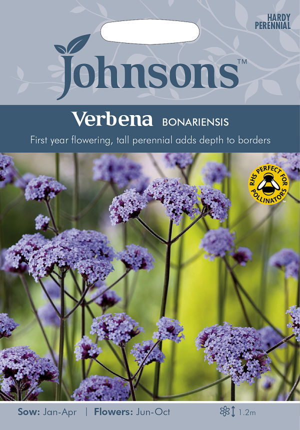 楽天市場 輸入種子 Johnsons Seeds Verbena Bonariensis バーベナ ボナリエンシス ジョンソンズシード Ivy
