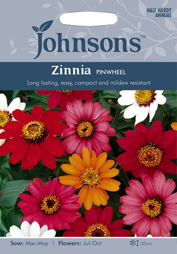 Seeds Gazania Sunshine Mixed ガザニア サンシャインミックス ミスター・フォザーギルズシード  良品 花・ガーデン・DIY工具