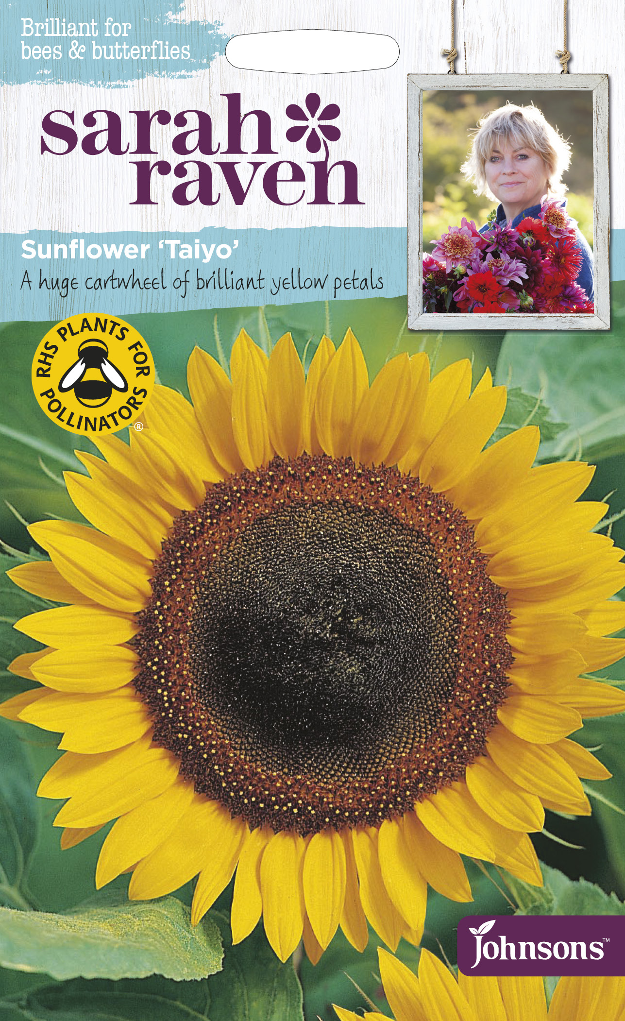 楽天市場】【種子】Mr.Fothergill's Seeds Sunflower Kong F1 サン