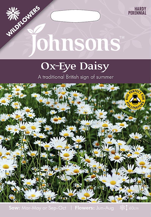 楽天市場 輸入種子 Johnsons Seeds Wildflowers Ox Eye Daisy ワイルドフラワーズ オックス アイ デイジー ジョンソンズシード Ivy