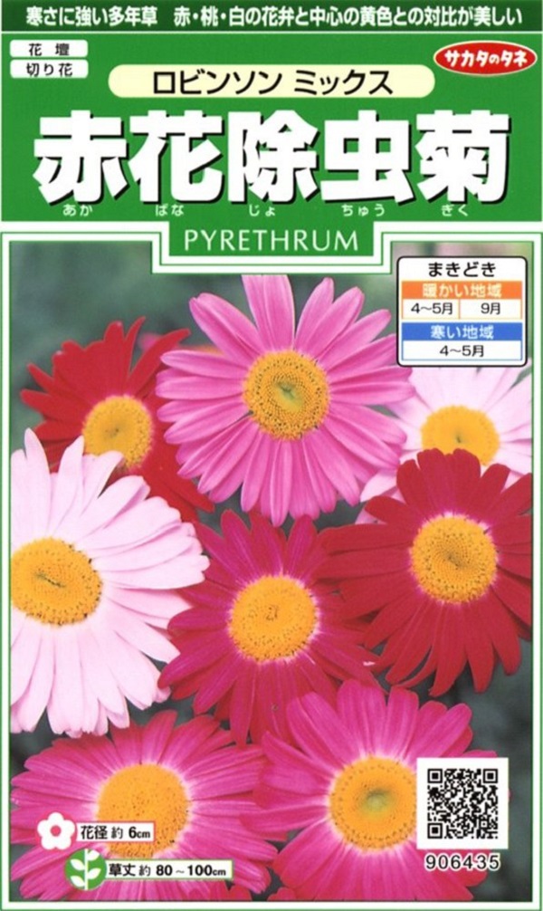 楽天市場 種子 赤花除虫菊 ピレスラム ロビンソンミックス サカタのタネ Ivy 楽天市場 種子 赤花除虫菊 ピレスラム ロビンソンミックス サカタのタネ Ivy