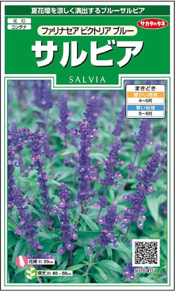 通常便なら送料無料 サルビア プルコ フルミックス タキイ種苗のタネ 農林水産省品種登録名 フジクリーン蓋ブラック(直径56.0cm耐荷重500kg) 合併浄化槽フタ,浄化槽蓋,合併浄化槽マンホール,浄化槽ふたの馬場福店
