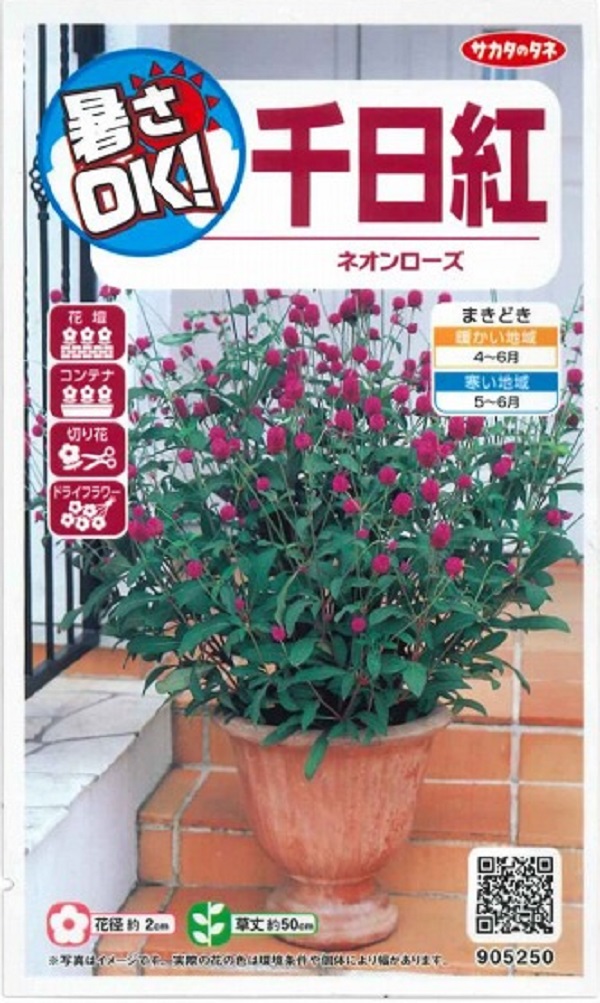 新しい季節 種子 千日紅  フェアリーミックス タキイ種苗のタネ