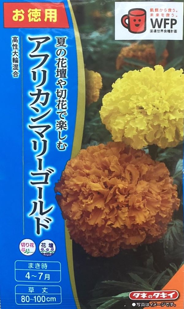 楽天市場】【種子】アフリカンマリーゴールド まんじゅぎく
