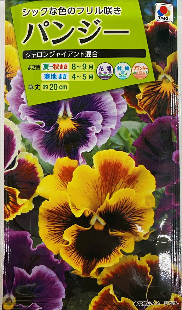 楽天市場 種子 たねダンゴ ミックス 花絵の具 秋まきサカタのタネ Ivy 楽天市場 種子 たねダンゴ ミックス 花絵の具 秋まきサカタのタネ Ivy