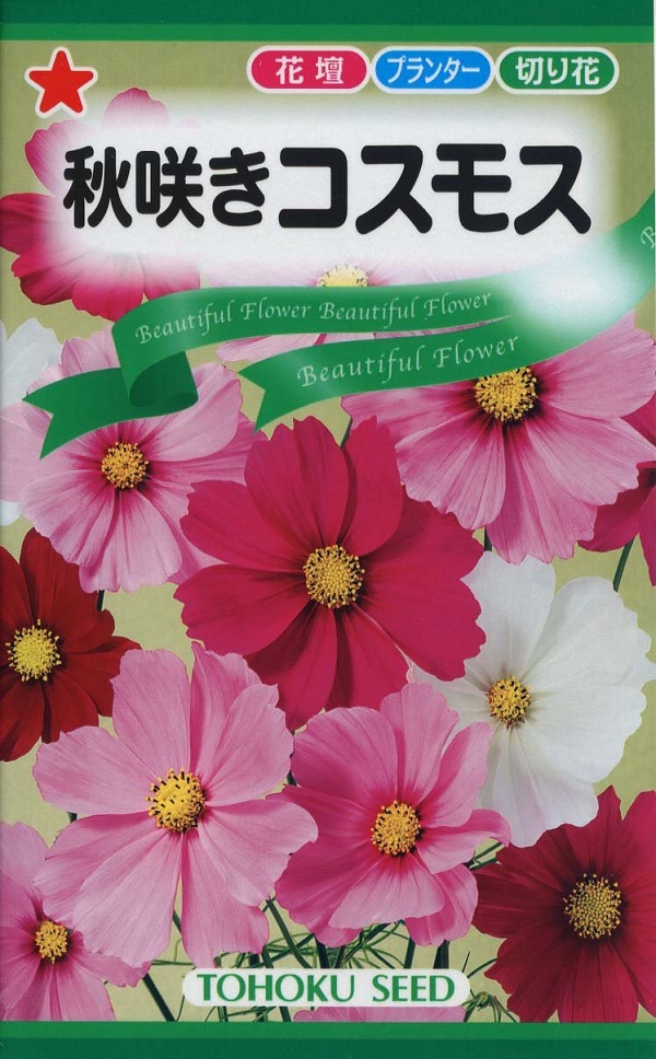 楽天市場 種子 秋咲きコスモストーホクのタネ Ivy