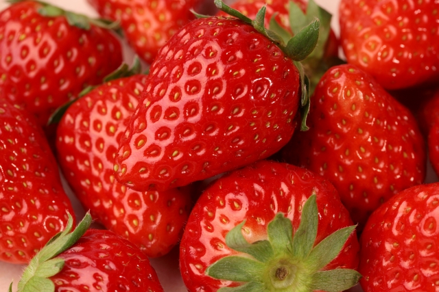 楽天市場】野菜苗 ジャンボいちご まんぷく2号 10.5cmポット1苗 タキイ