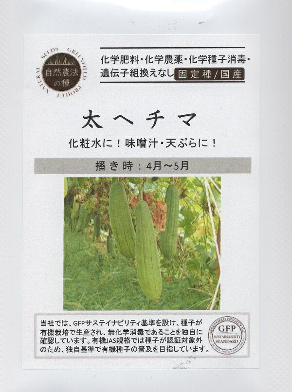 自然農法の種 太ヘチマ グリーンフィールドプロジェクトのタネ