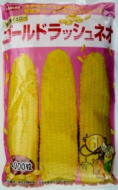 蔬菜内果皮 サカタ掛け合わせスイートコーン ゴールドラッシュネオ 2000粒入 サカタのタネ